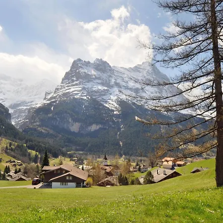 Kirchbuehl Apartment Grindelwald