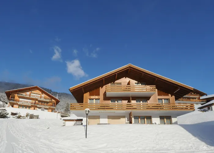 Appartement Kirchbuehl