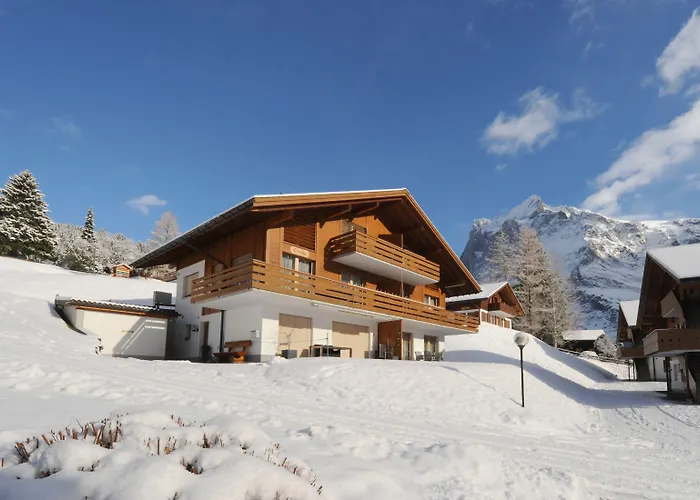 Apartment Kirchbühl